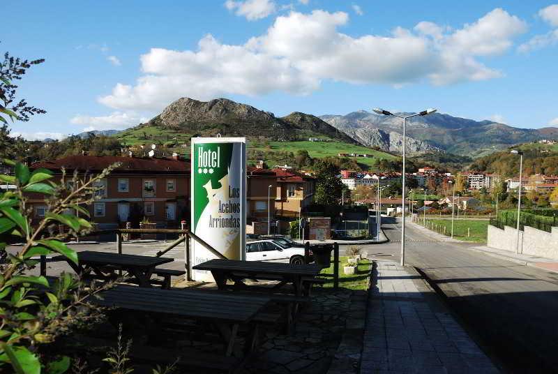 Los Acebos Arriondas Exterior photo